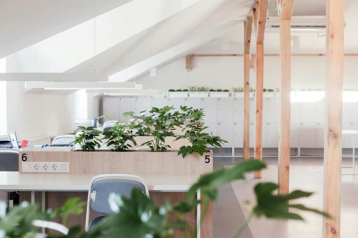 empty open plan office with indoor plants